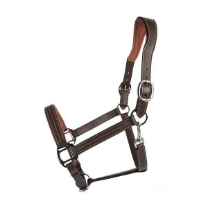 Licol Signature anatomique