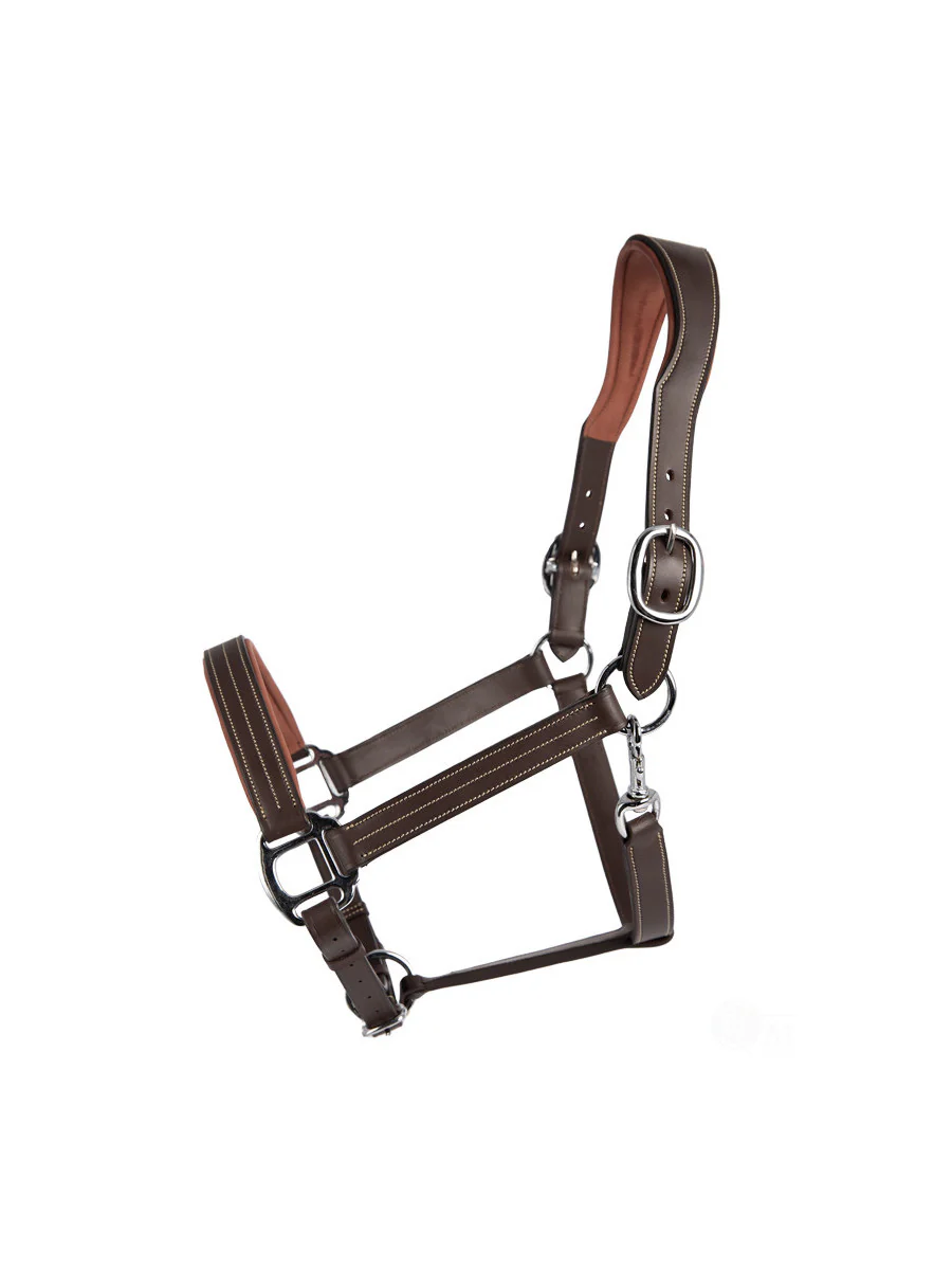 Licol Signature anatomique